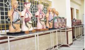 WhatsApp Image 2022-06-07 at 3.11.26 PM WhatsApp Image 2022-06-07 at 3.11.26 PM